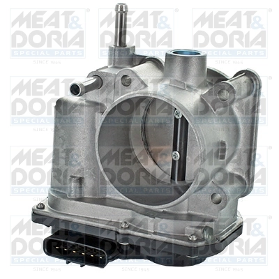 Throttle Body